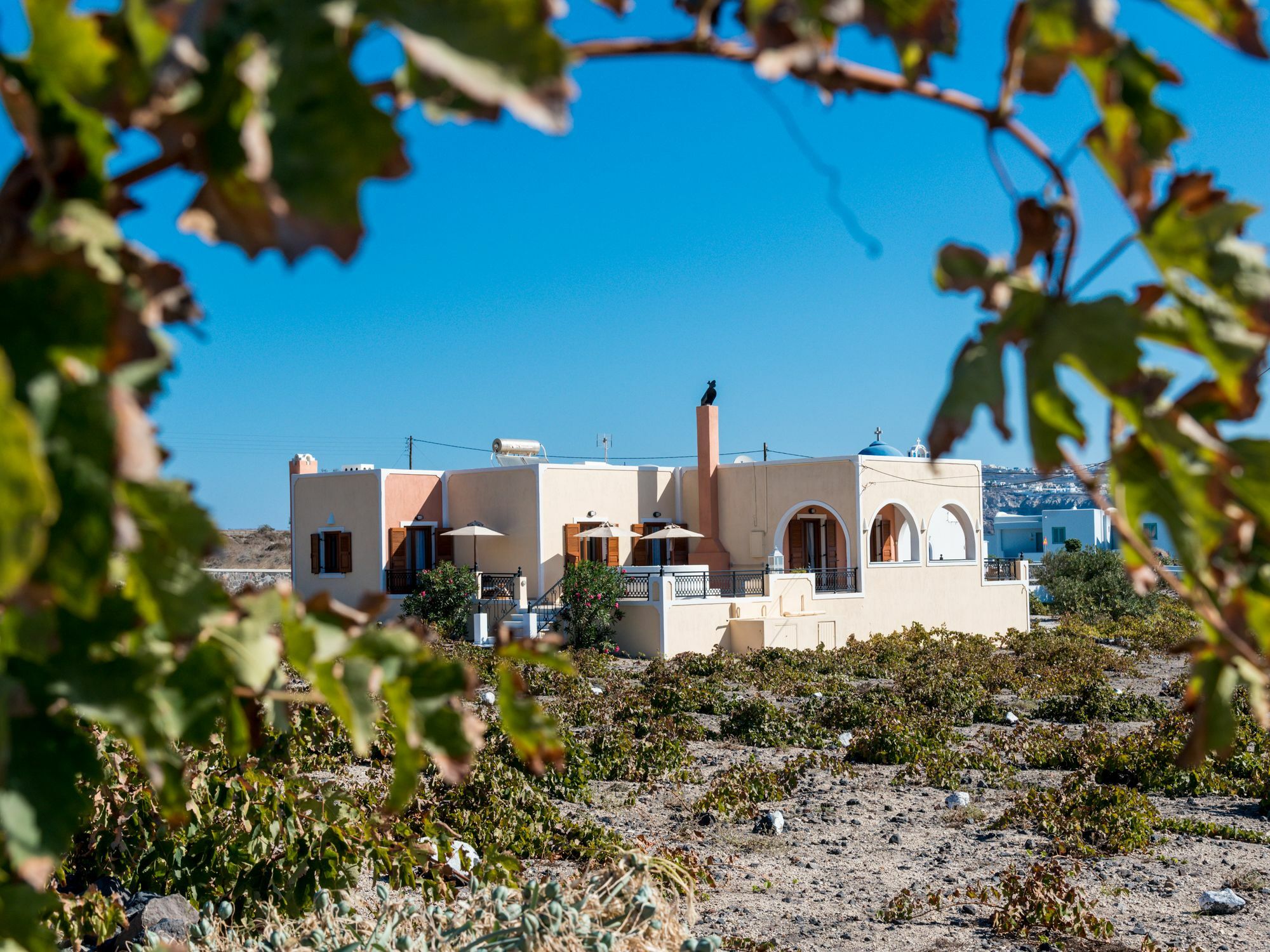 Akrotírion Vineyard Exclusive Suites מראה חיצוני תמונה